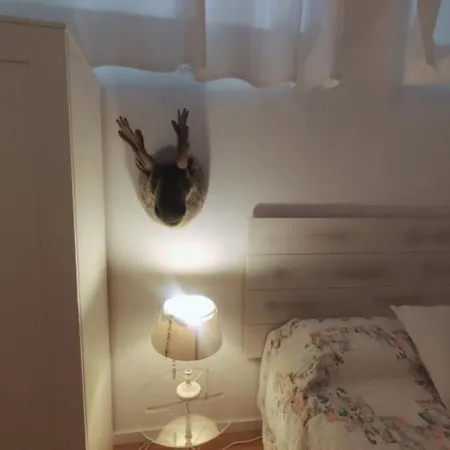 El Alma De Lägenhet